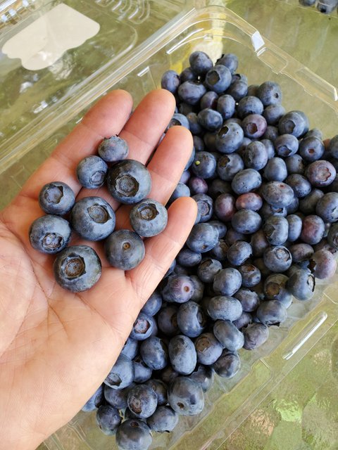 Size of our blueberries